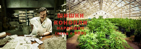 наркотики Белокуриха