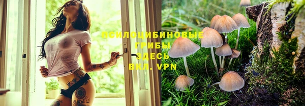 наркотики Белокуриха